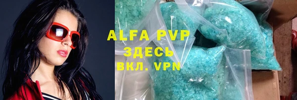 индика Мегион