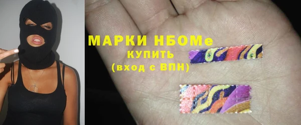 индика Мегион