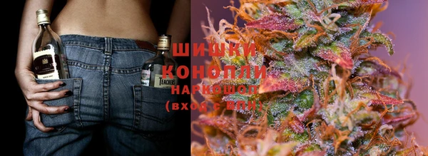 стафф Майский